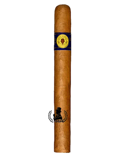 Santa Damiana Churchill