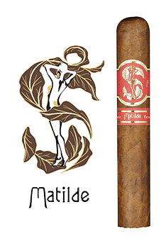 Matilde Renacer Robusto