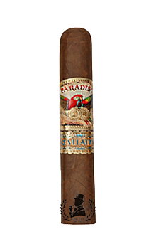 Paradiso Revelation Robusto