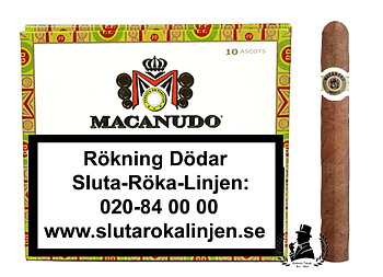 Macanudo Connecticut Ascot
