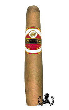 Flor De Copan Gorditos