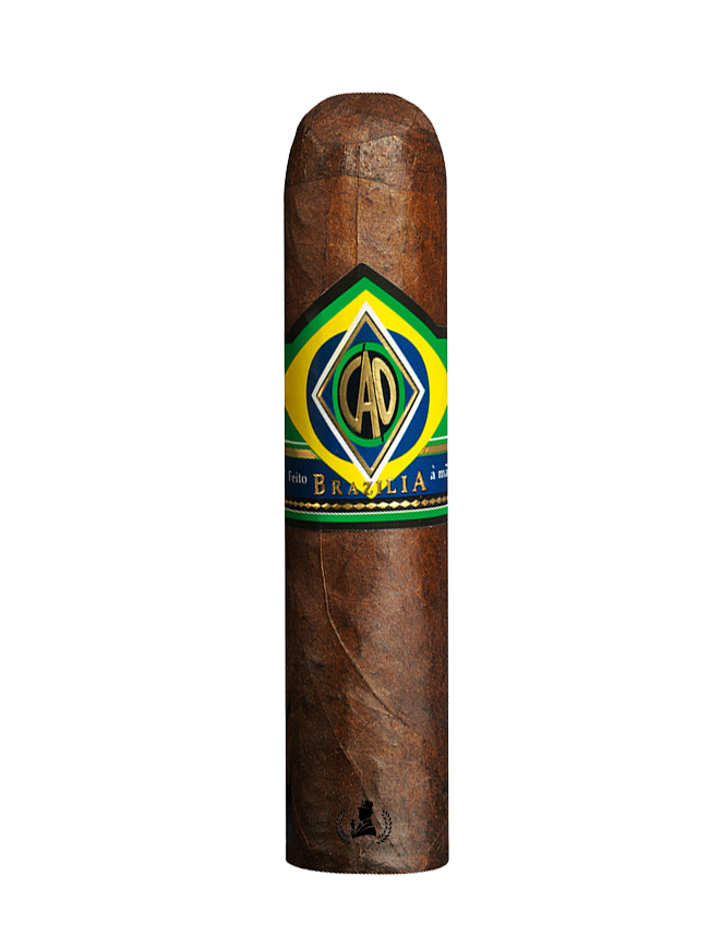 CAO Brazilia Corcovado