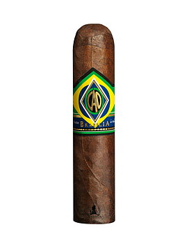 CAO Brazilia Corcovado