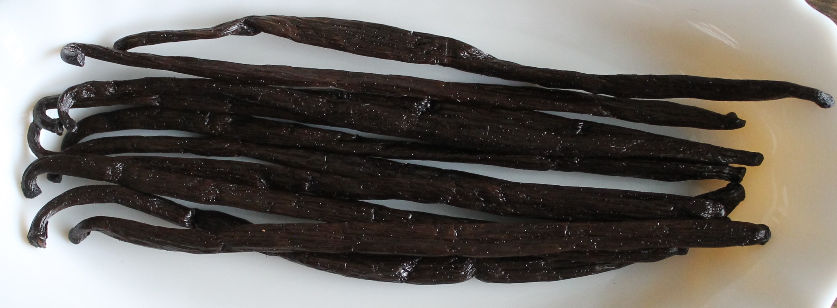 Ekologisk Bourbonvanilj  (A-grade 16–19 cm) i 10-pack - STORPACK 120 st för Bageri och Restaurang - 2