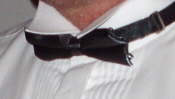 Fluga