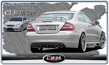 2. Rieger Sport Kit for Coupe & Cabrio