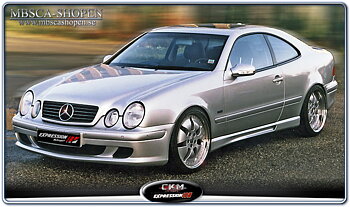 1b. CKM Expression kit 97-01