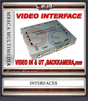 C. VIDEO INTERFACE