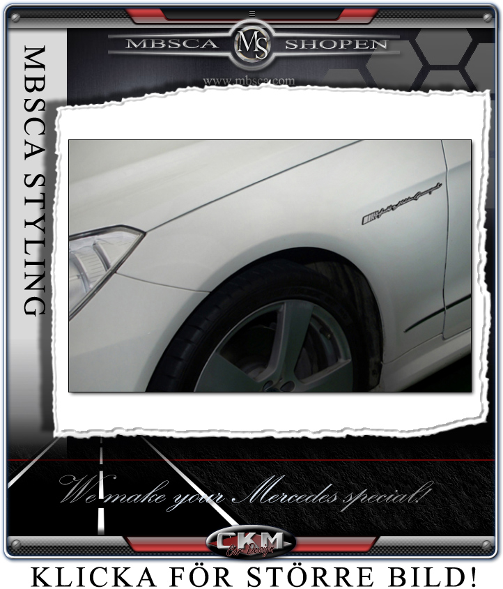 AMG 3D Full name emblem 1st - 4
