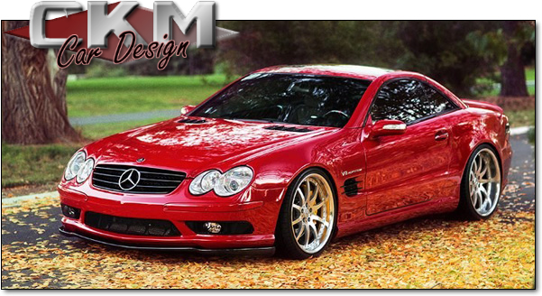 6. CKM "C look" lip in Carbon Fiber for SL55/SL65 front - 2