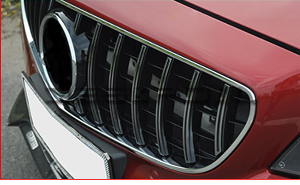 1. AMG GT-R PANAMERICAN look grill - 6
