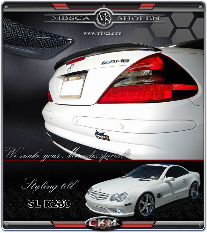 6. CKM "AMG look" wing in Carbon Fiber - 2