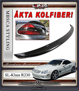 6. CKM "AMG look" wing in Carbon Fiber