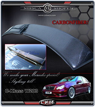 2. Roof Spoiler in carbonfber.