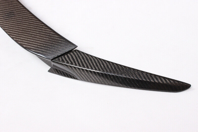 4. Wing carbon fiber - 3