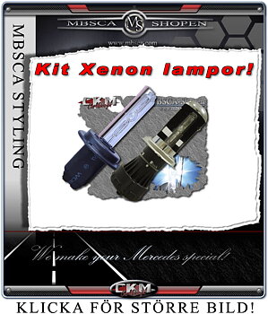 Xenon replacement bulb for our kits.