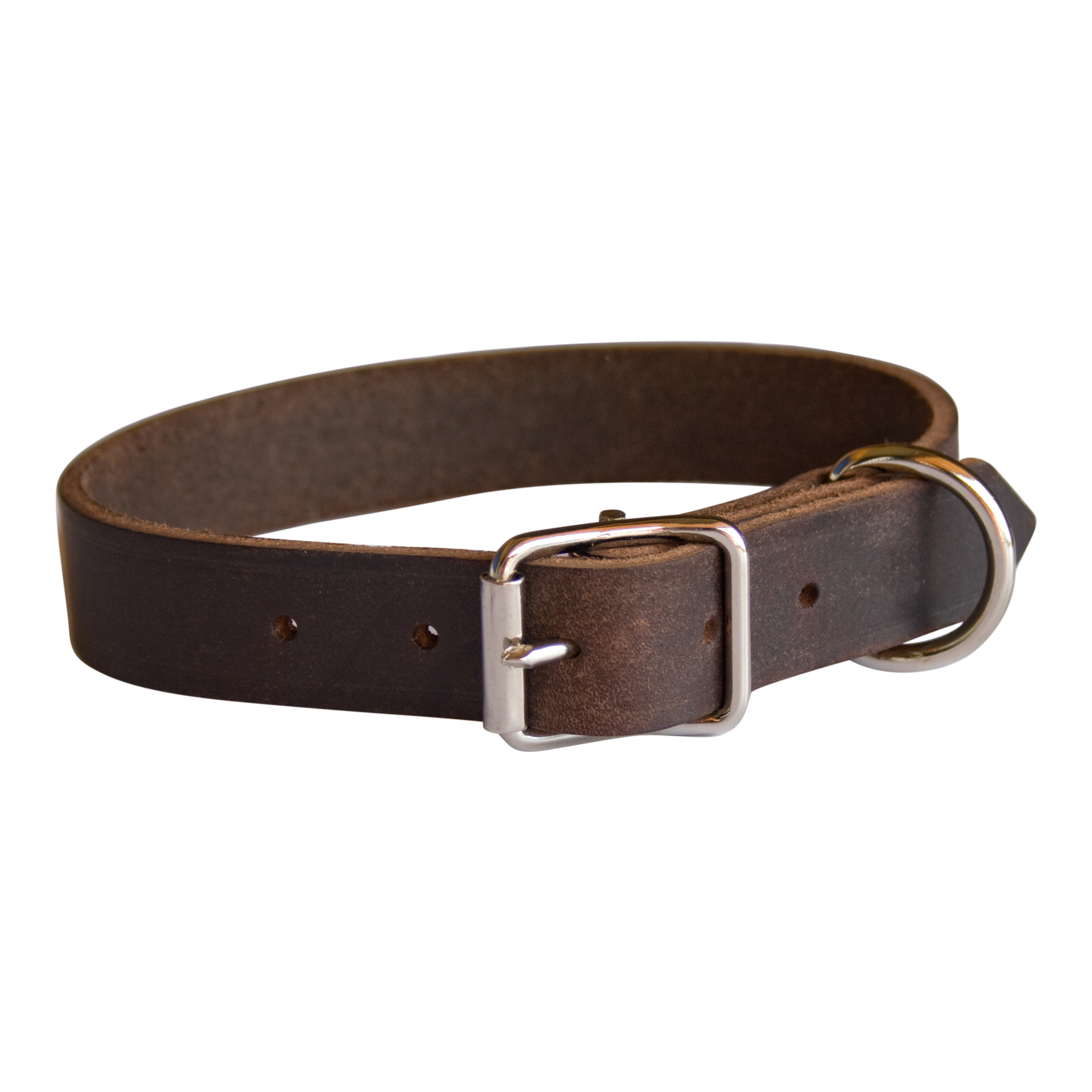 Swedish dog clearance collar