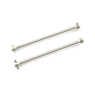 WL-144001.1281 Bone