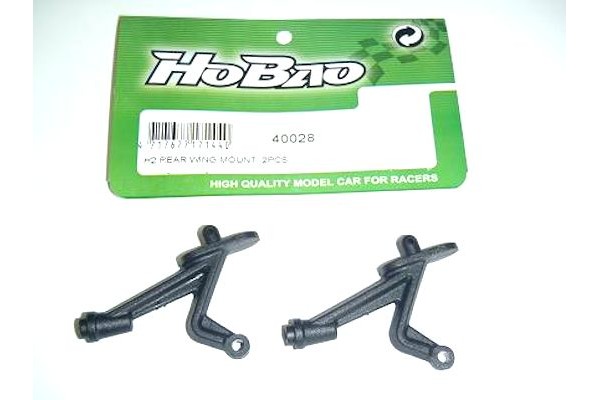 Rear Wing Mount