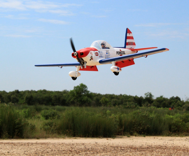 Seagull Art Scholl´s Super Chipmunk 15cc 160cm ARF - 11