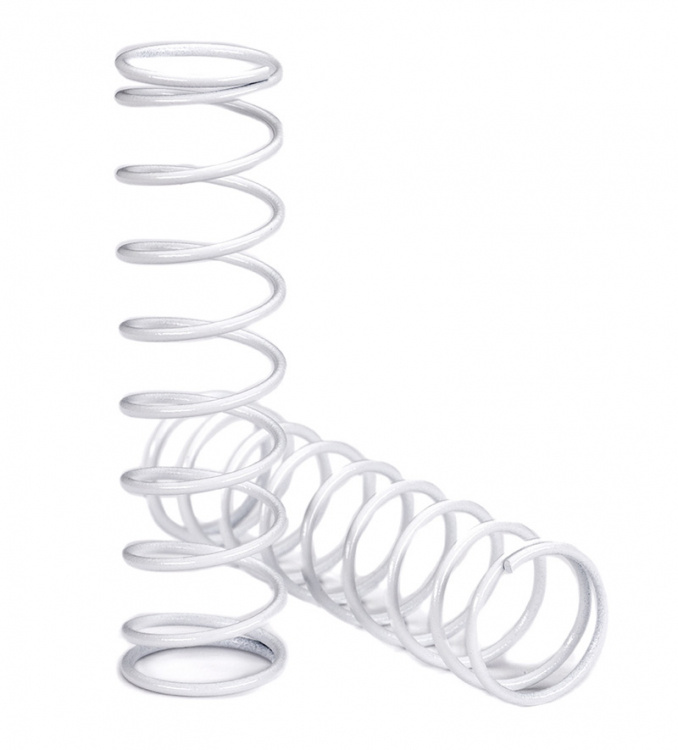 Shock Springs Rear (2)