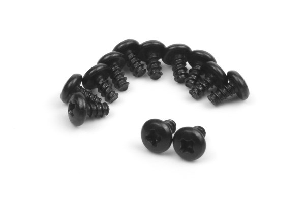 Blackzon 540174 Pan Head Self Tapping Screws 2x4mm