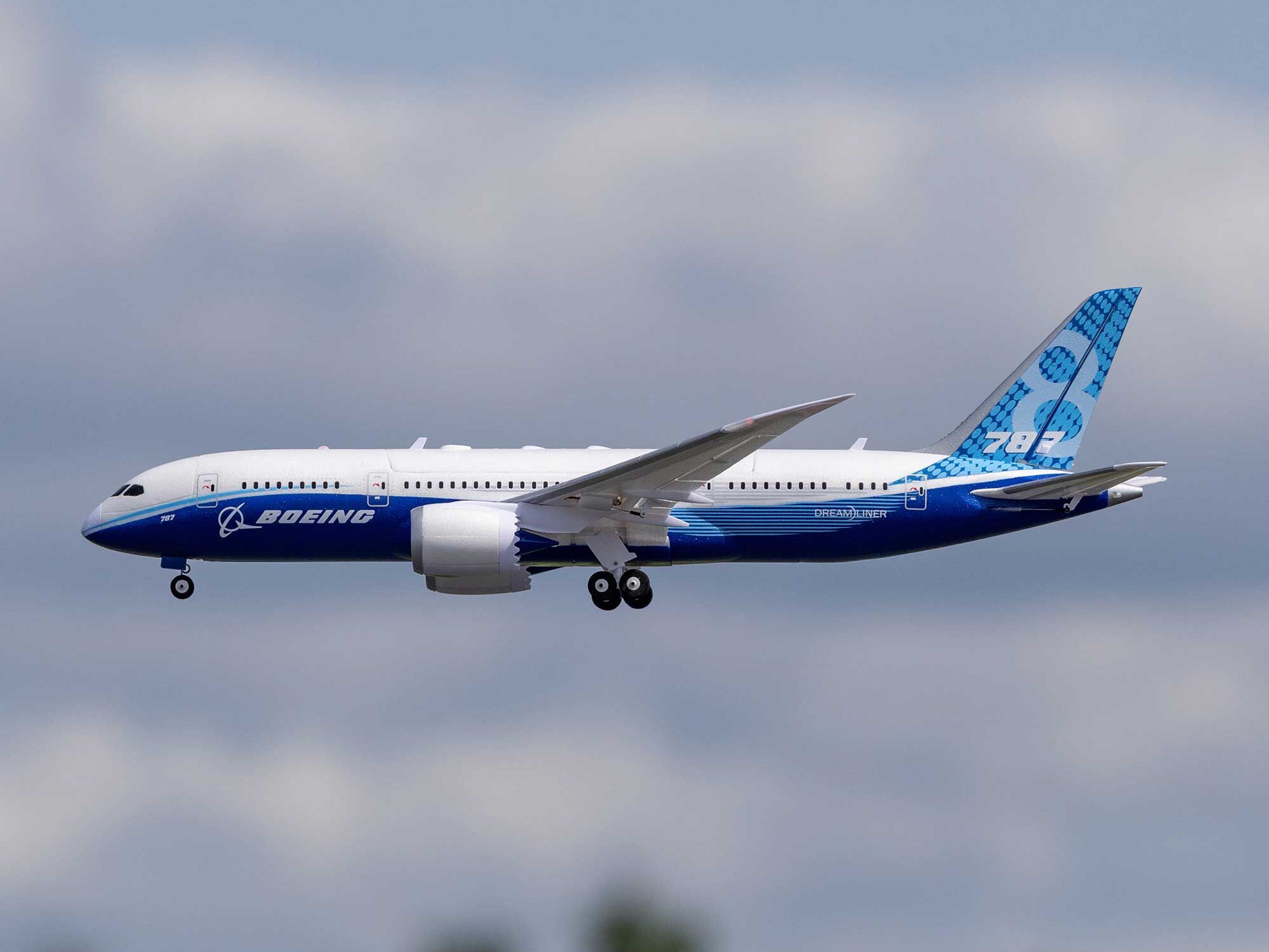 E-flite Micro Boeing 787 Dreamliner Twin 30mm EDF BNF Basic with AS3X and SAFE Select - 21