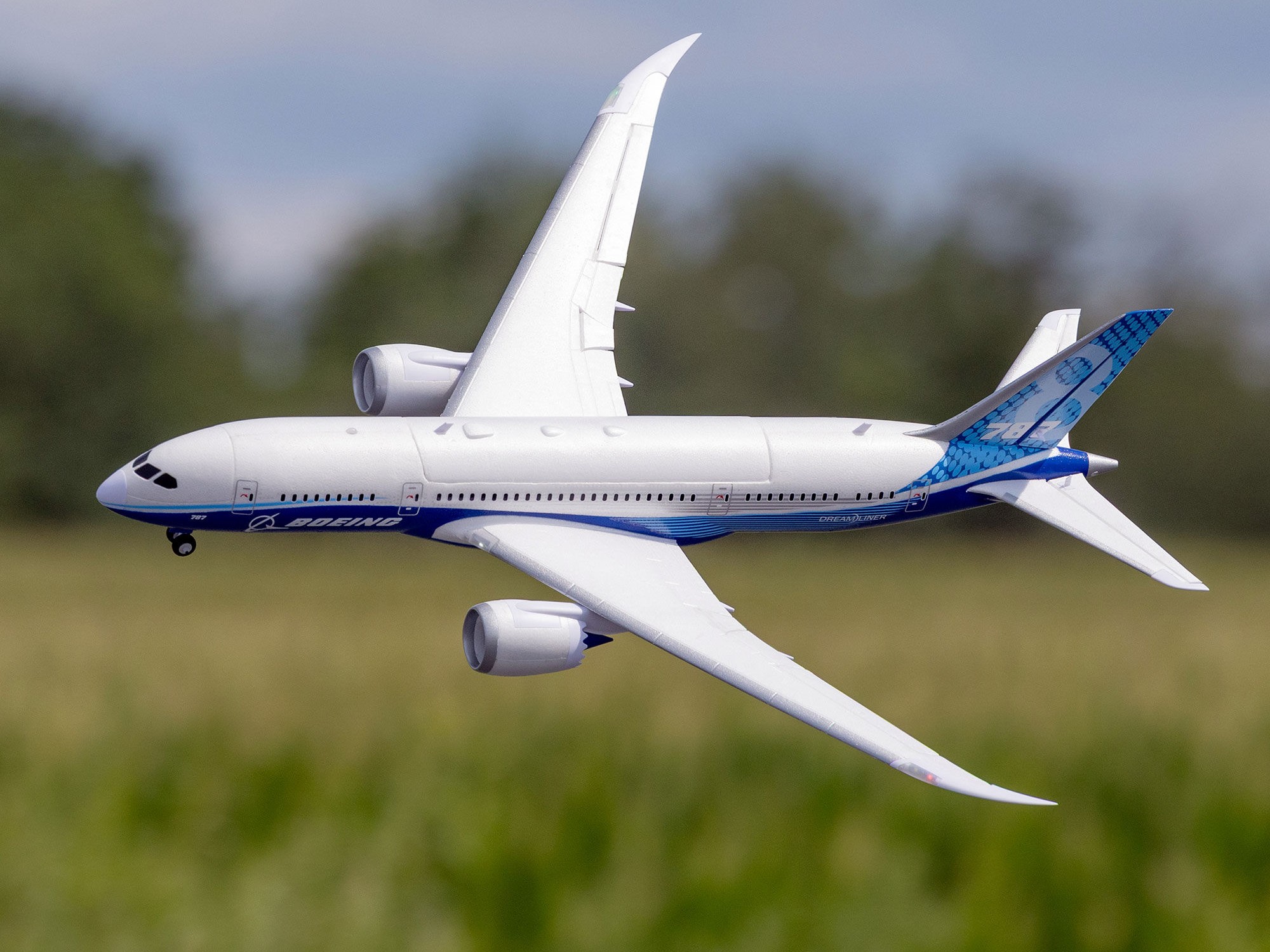 E-flite Micro Boeing 787 Dreamliner Twin 30mm EDF BNF Basic with AS3X and SAFE Select - 24