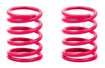 Spring set rear 30LB NT1