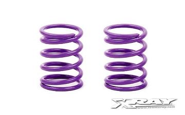Spring set rear 28LB NT1
