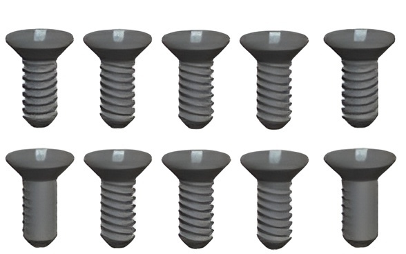 WLToys L959-54 Phillips Skruv 2.6x8mm (10)
