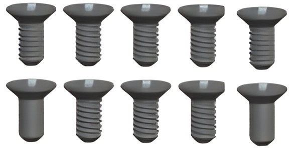 WLToys L959-55 Phillips Skruv 2.6x12mm (10)
