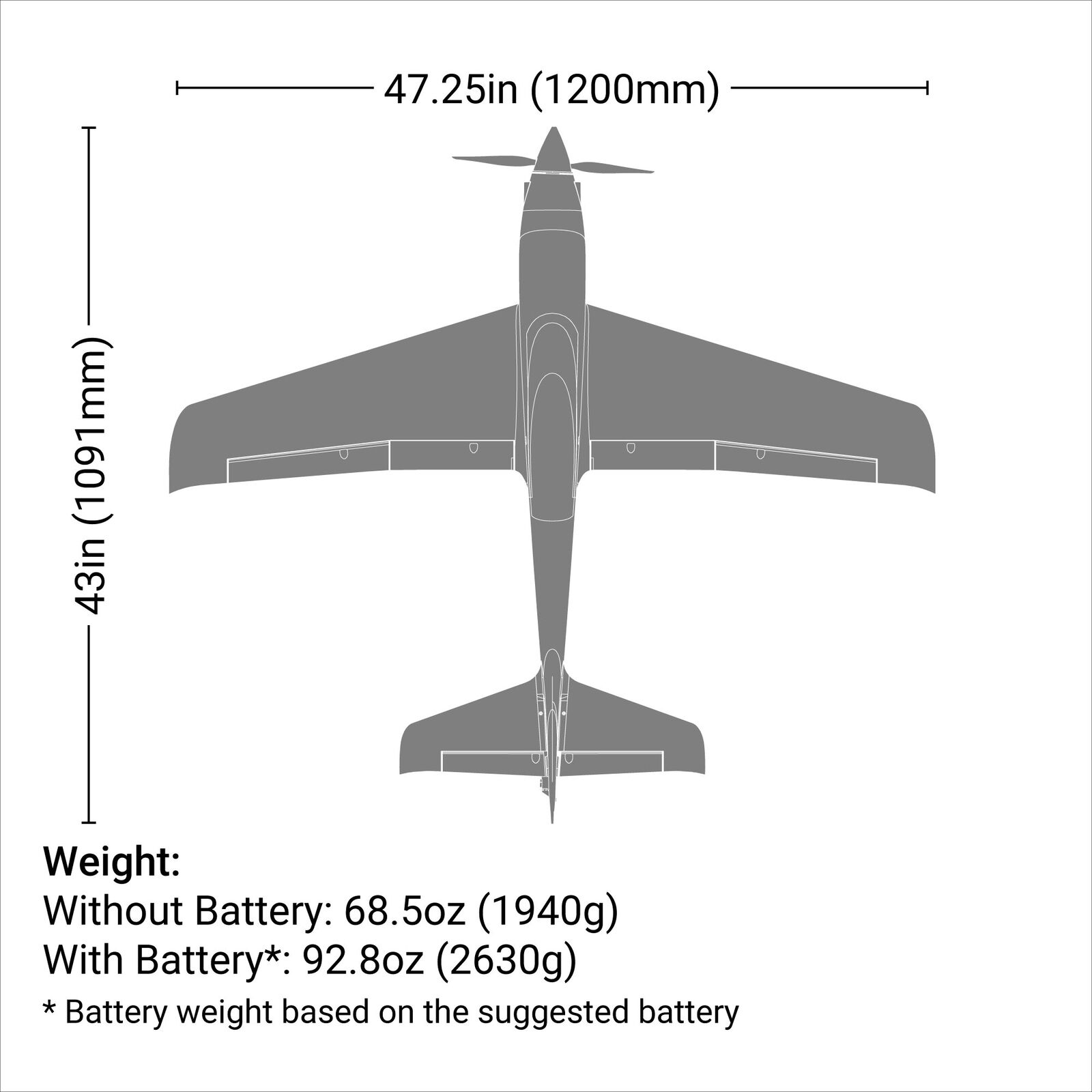 E-flite V1200 PNP Smart Basic - 25