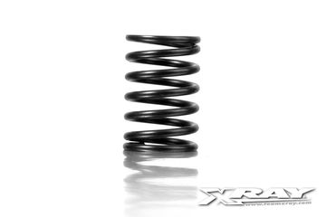 Spring set C=6.3 Rear (2)