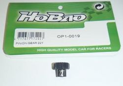 Pinion Gear 22T