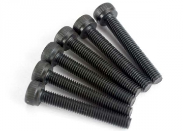 Screws M3x20mm Cap-head Hex Socket (6)