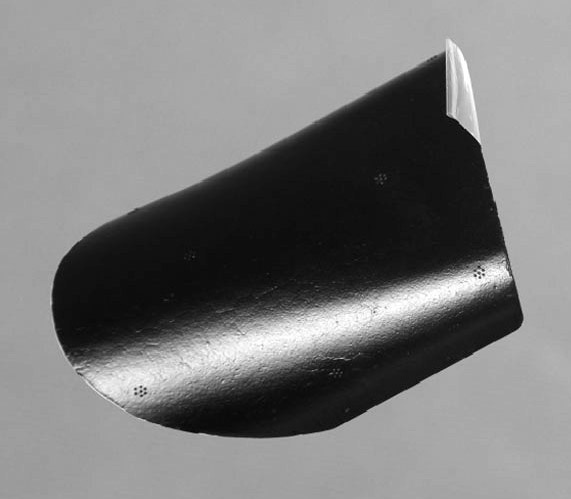 FMS PH105 Battery Lock Super EZ FMS