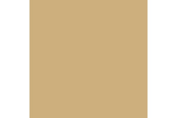 VALLEJO 70976 BUFF BEIGE *