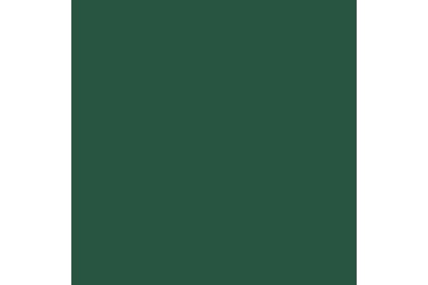 VALLEJO 72067 CATACHAN GREEN 17ml