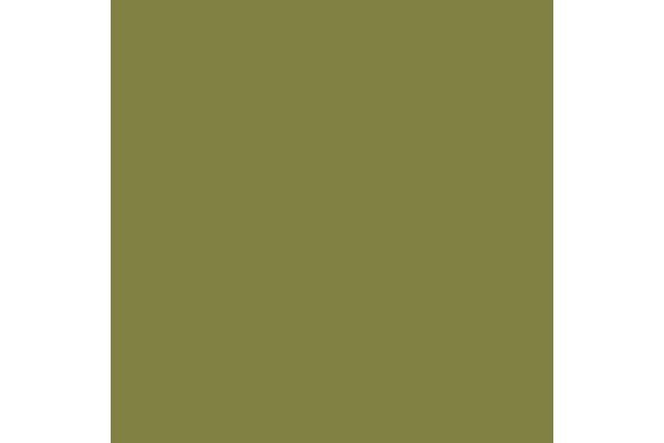 Vallejo 70857 GOLDEN OLIVE