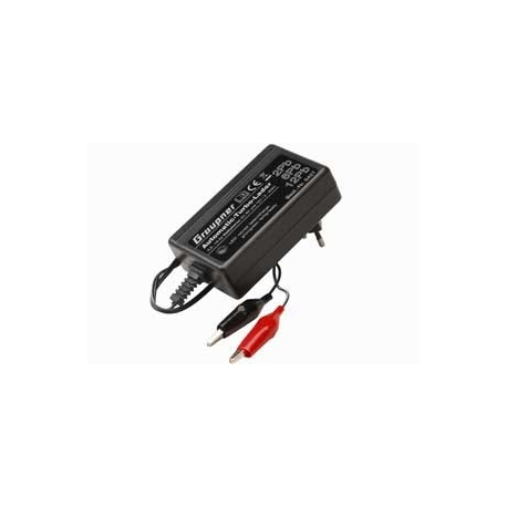 Automatic Charger 2/6/12 Pb