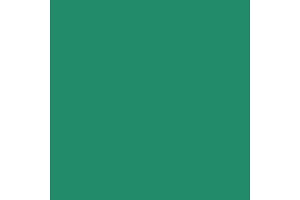 Vallejo 72025 FOUL GREEN 17ml