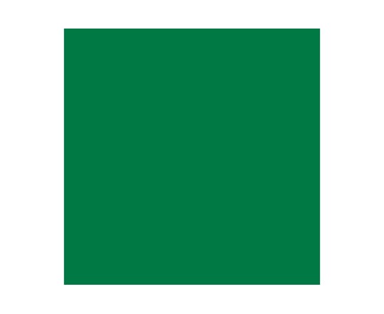 VALLEJO 72089 GREEN INK 17ml