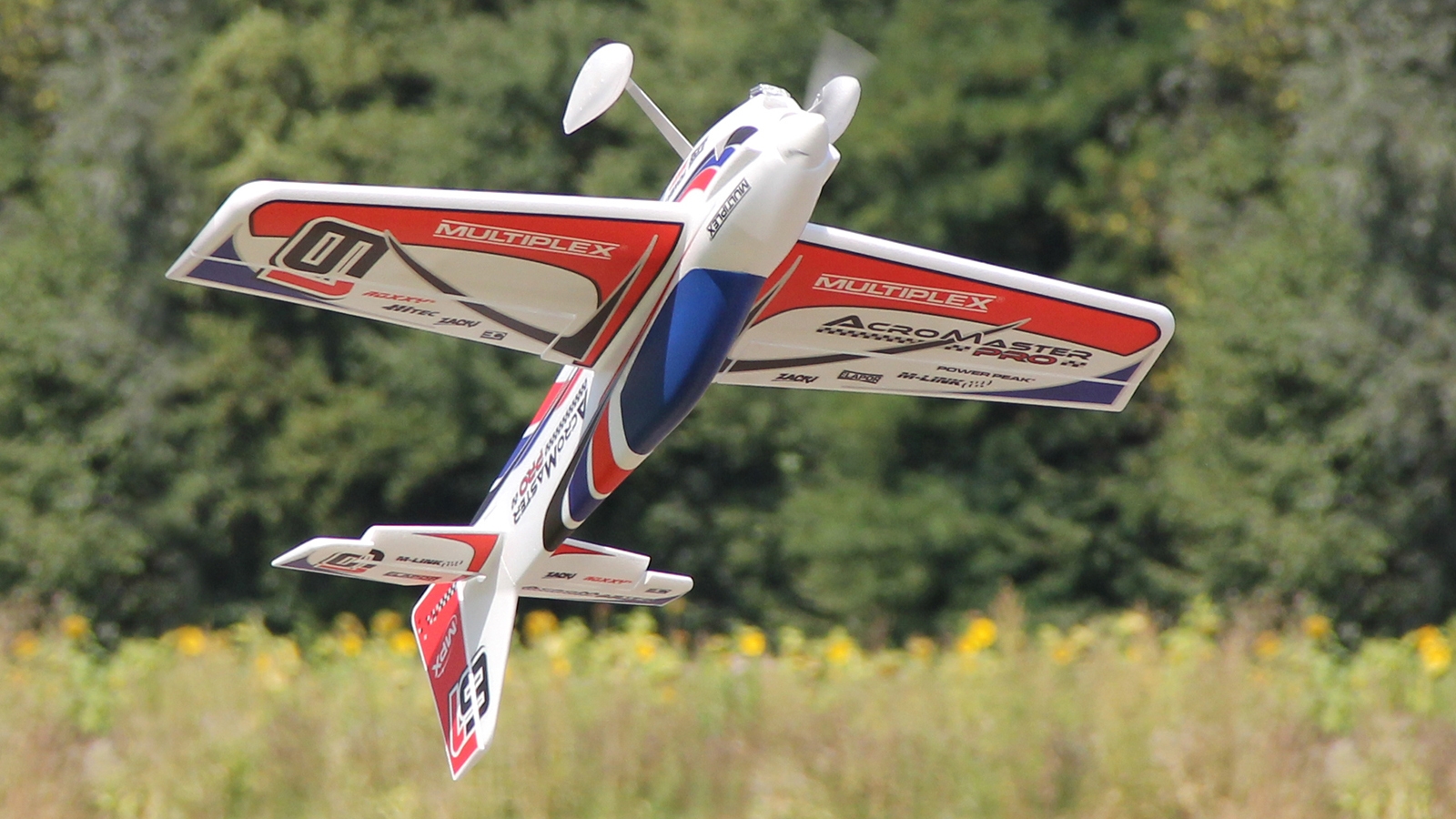Multiplex Acromaster Pro RR Vit - 12