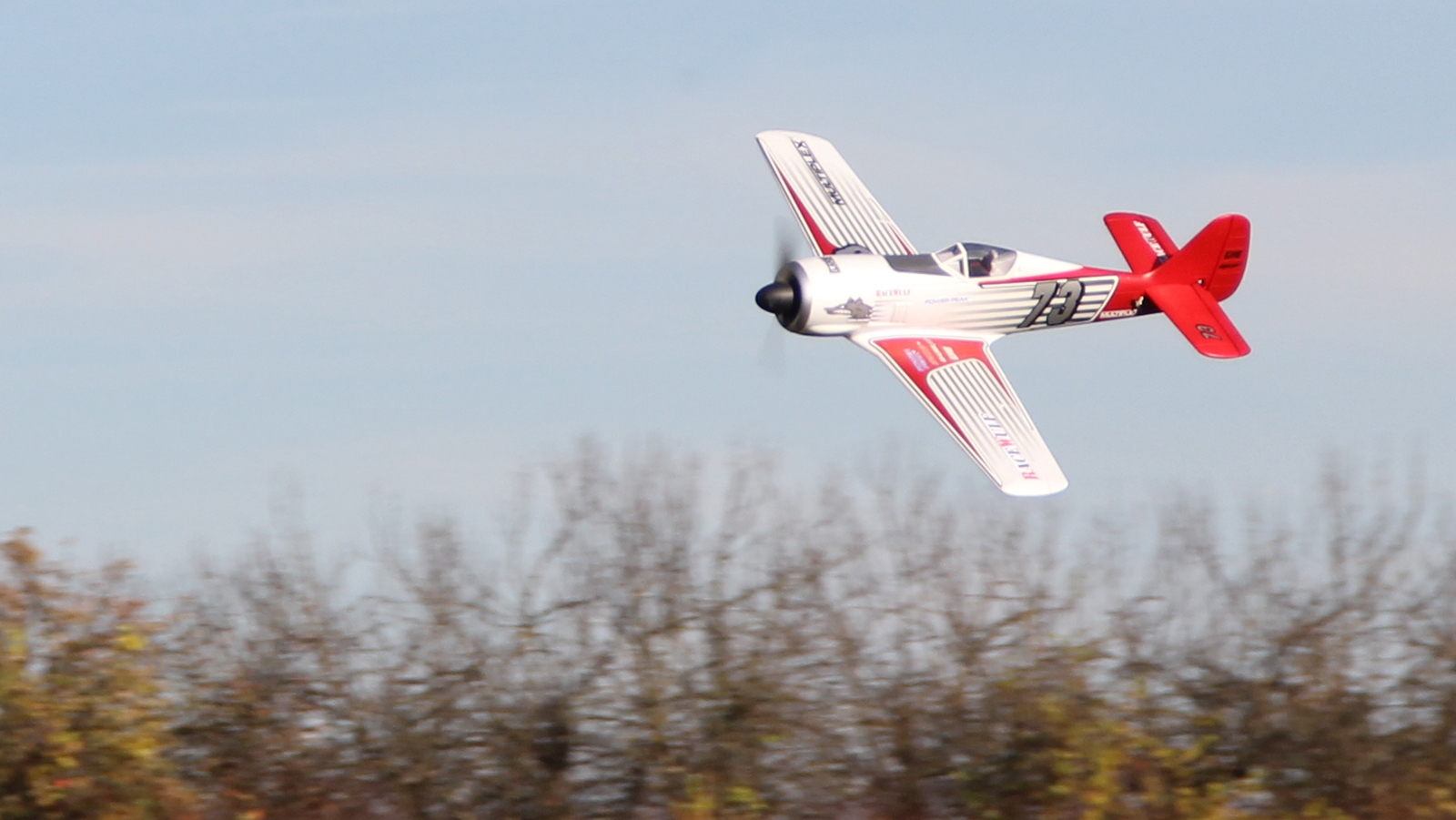 Multiplex RaceWulf RR - 13