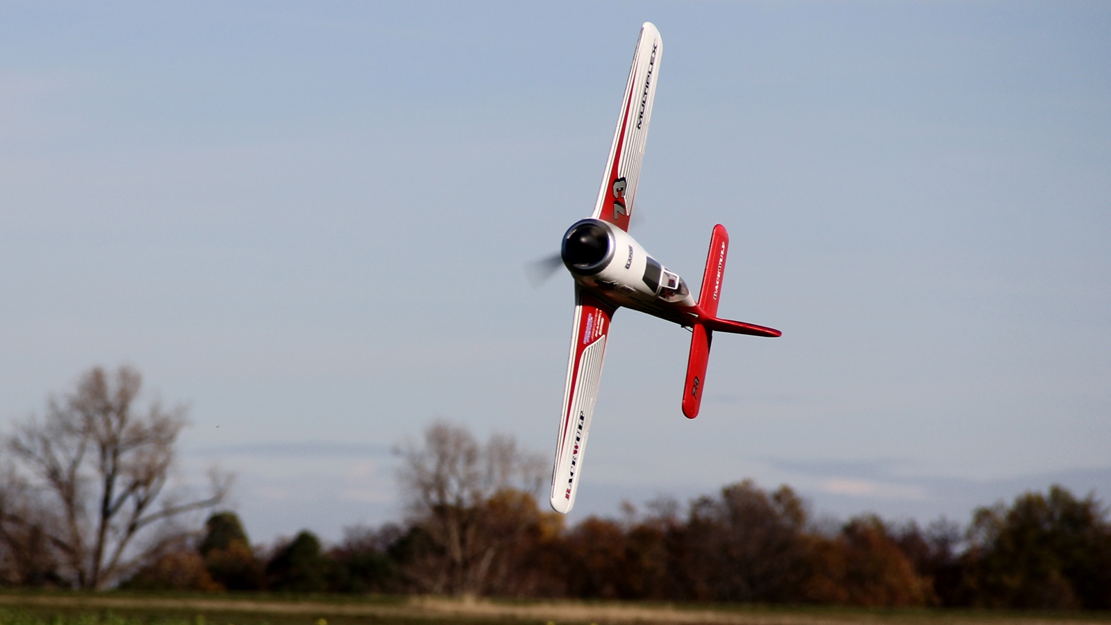 Multiplex RaceWulf RR - 16