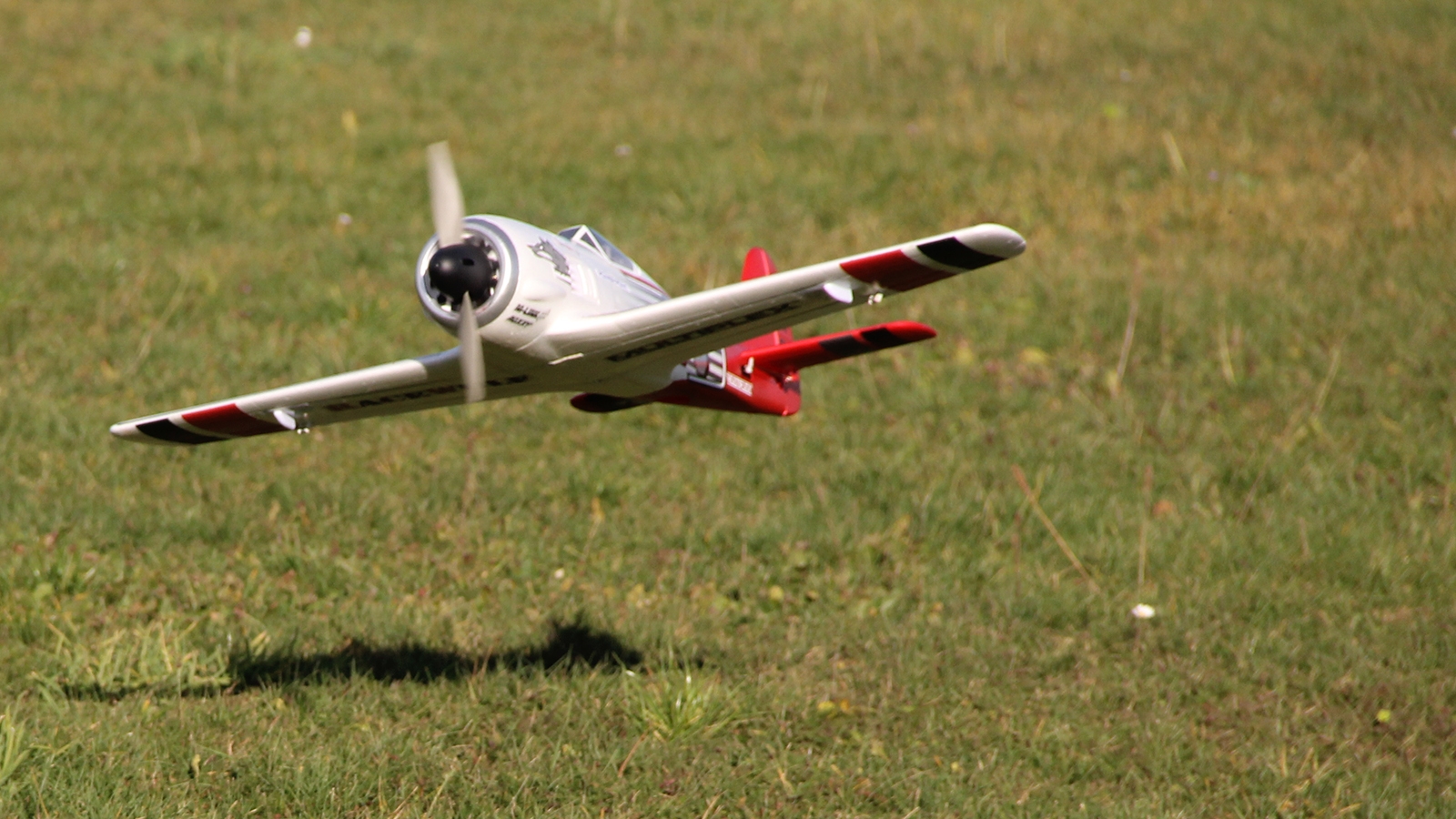 Multiplex RaceWulf RR - 9
