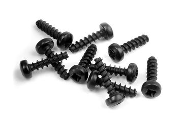 Screw Phillips 2.5 x 10 mm (10)
