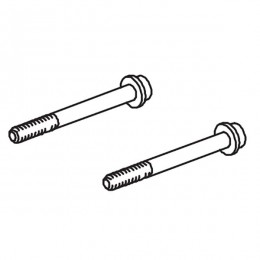 Screws (x2)