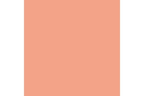 VALLEJO 72100 Rosy Flesh 17ml
